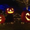 国営武蔵丘陵森林公園 光と森のStory 第1章 森のハロウィンナイト