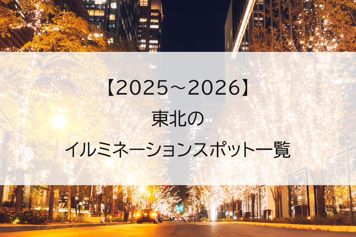 【2025】東北のイルミネーションスポット一覧