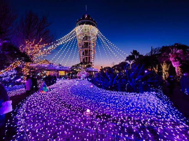 江の島 湘南の宝石のイルミネーション