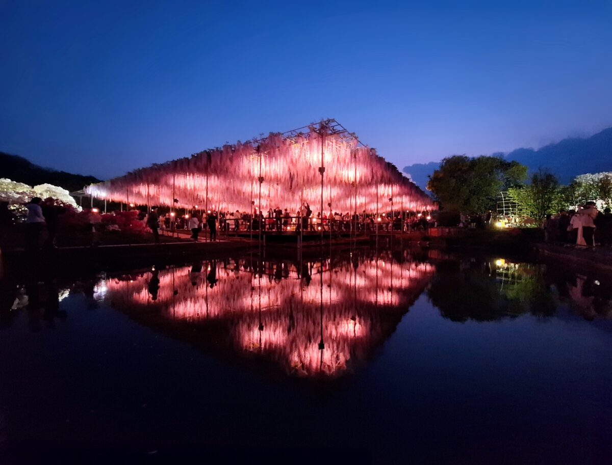 あしかがフラワーパークのイルミネーション